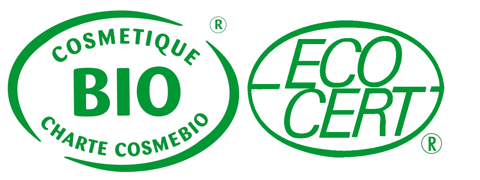 Resultado de imagen de certificado ecocert logo